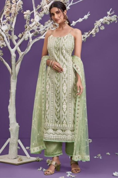 Pista Green Lucknowi Net Straight Suit