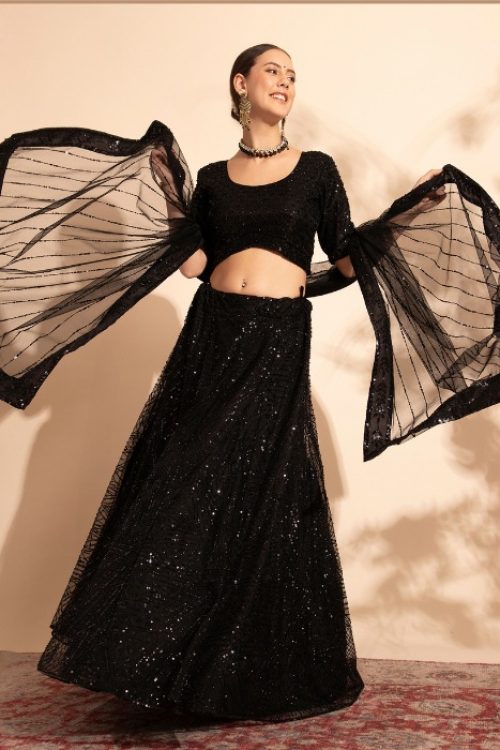 Bollywood Black Hand work Lehenga Choli in Net